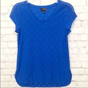 NWT The limited / blue eyelet short sleeve top